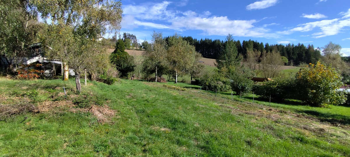 Terrain à LA SEAUVE-SUR-SEMENE