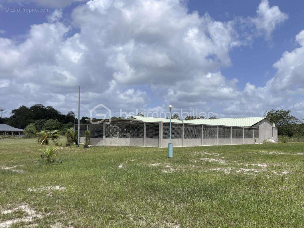 97310 – kourou – propriété d’exception sur 2,6 hectares – maison 5 pièces – piscine – suite parentale – 3 chambres de 21 m² avec - photo 13