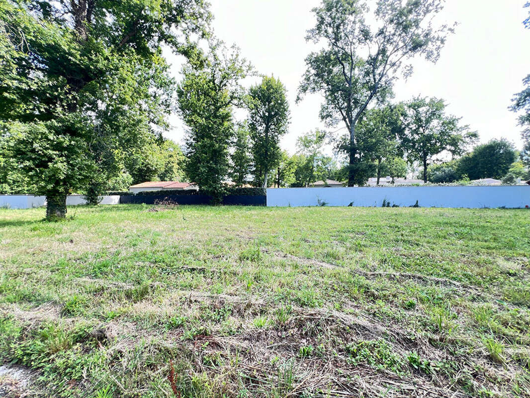 Terrain à LA TREMBLADE