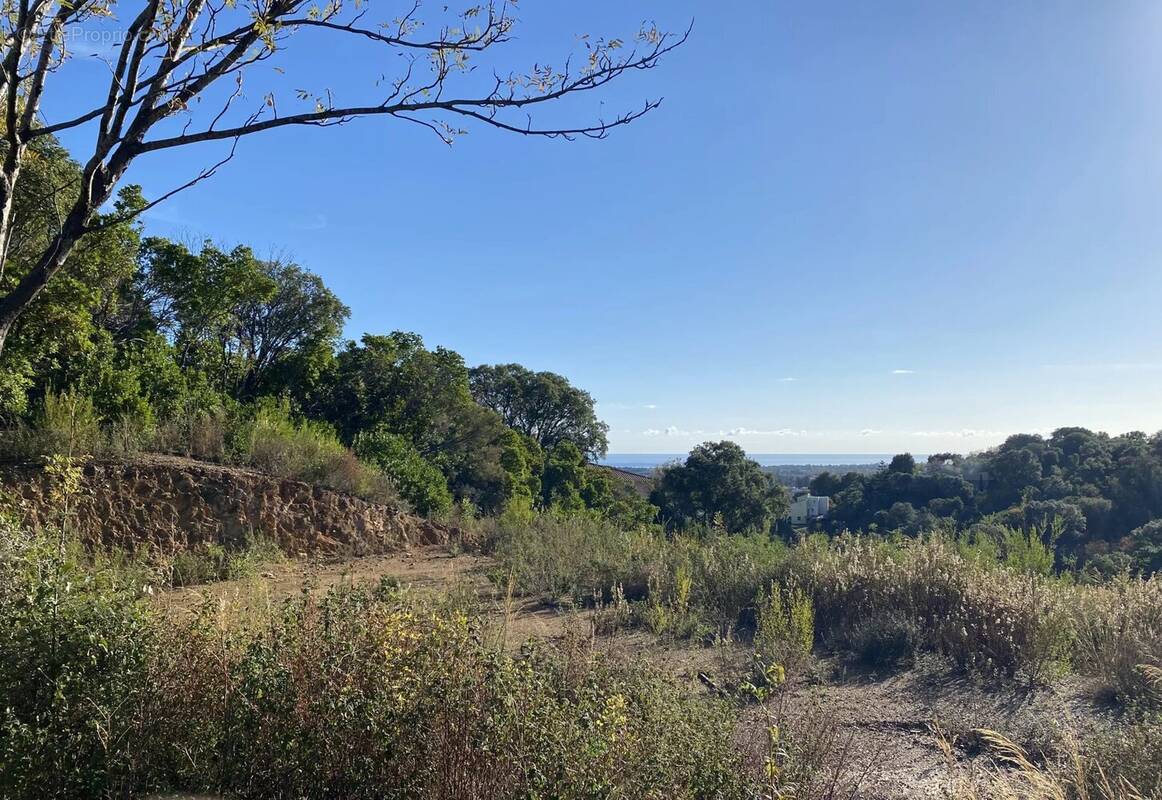 Terrain à PENTA-DI-CASINCA