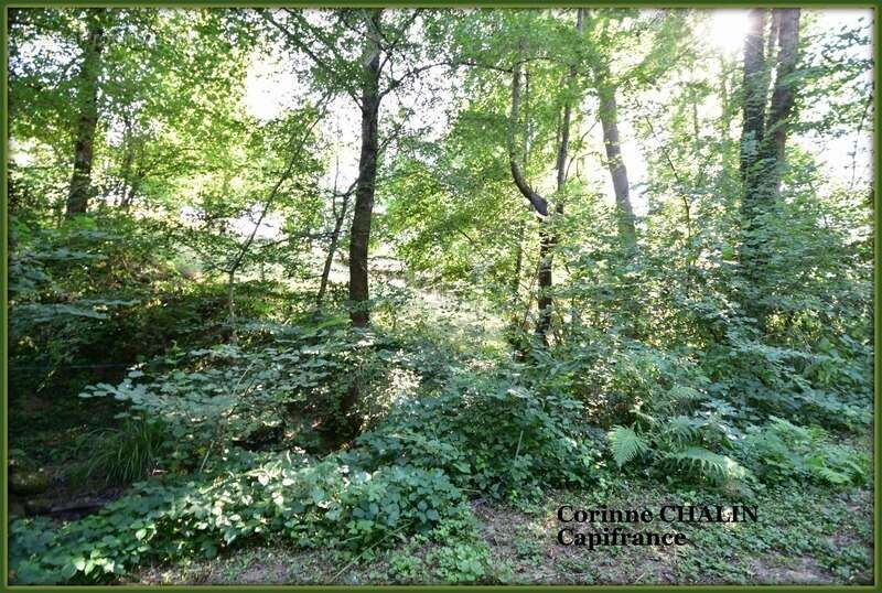 Maison à vendre 3 pièces 64.45m2 BERT (03) - photo 13