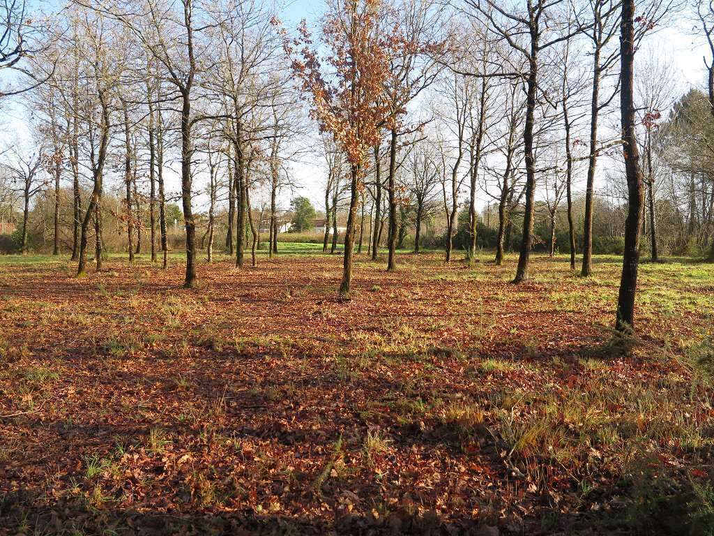 Terrain à SAINT-VIVIEN-DE-MEDOC