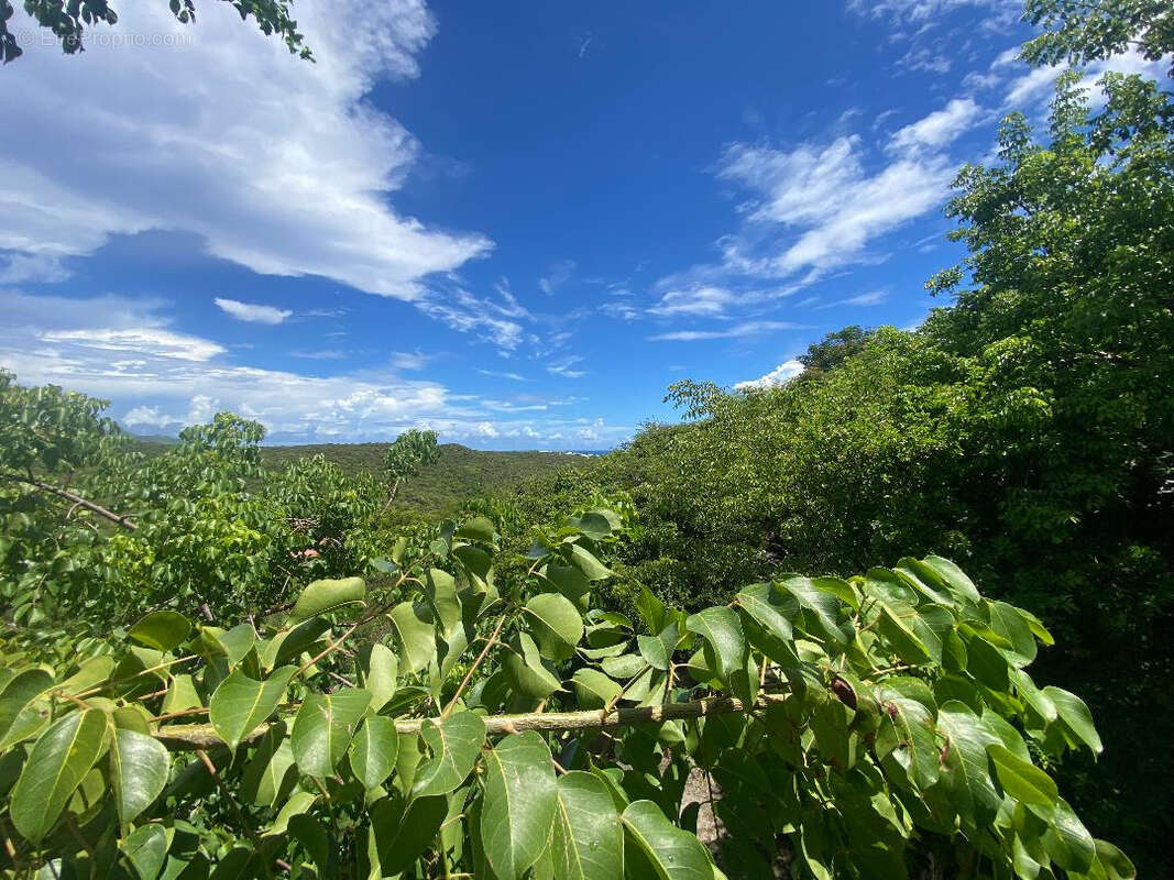 Maison à SAINT-MARTIN
