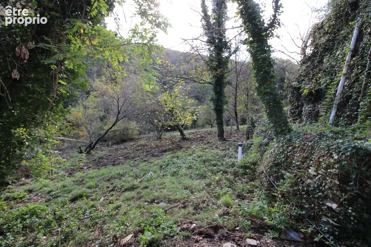 MAS 360 de volume + 25 hectares. - photo 124