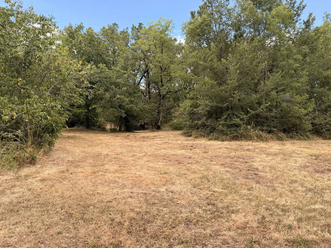 Maison Traditionnelle T5 - 142m2 sur 6300m2 de jardin - photo 14