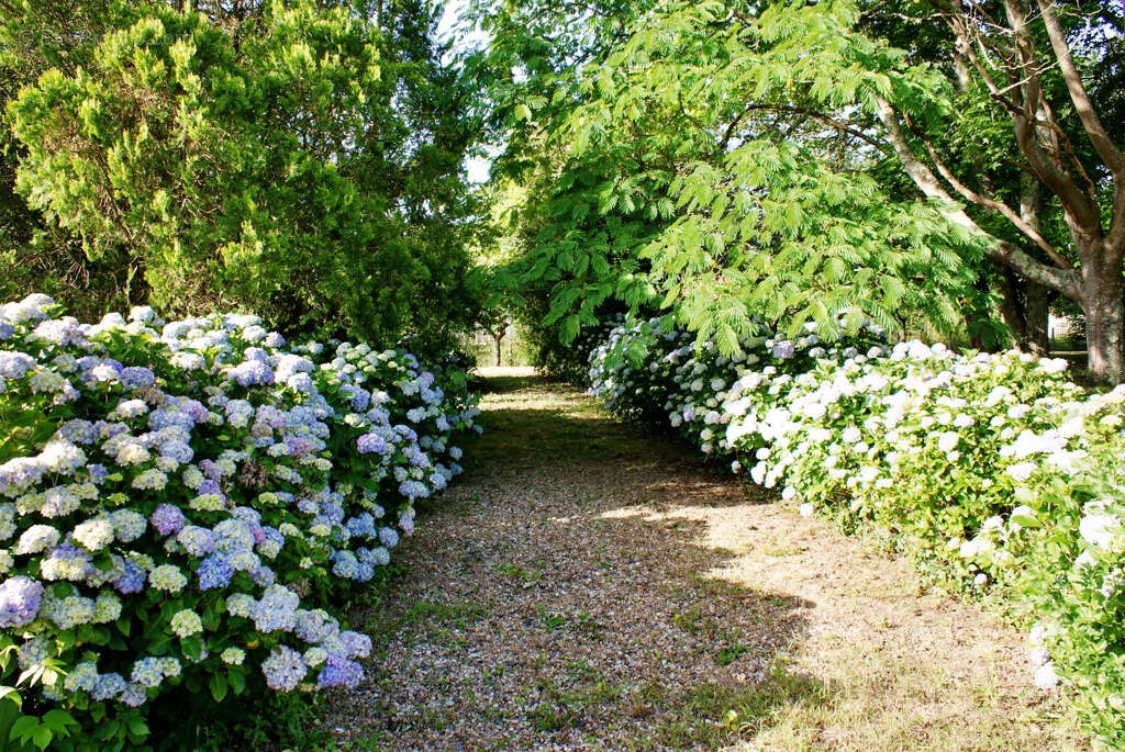 Maison à SAUBRIGUES
