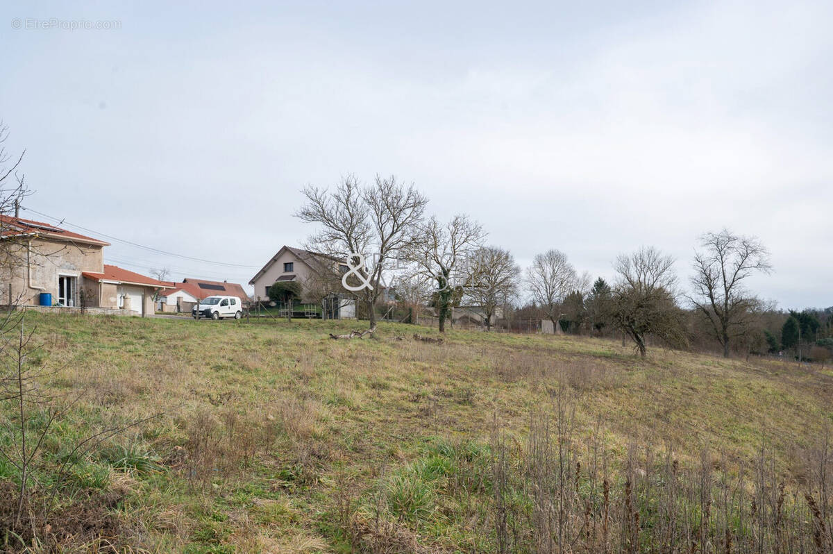 Terrain à CHAUDENEY-SUR-MOSELLE