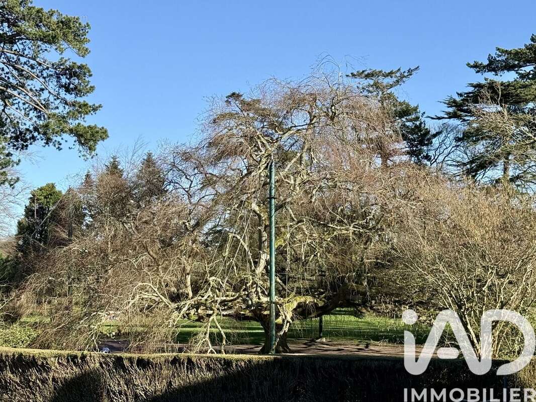 Photo 3 - Maison à BAYEUX