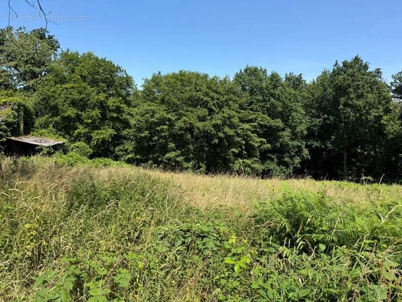 Terrain à vendre de 3 250,00 m² SAINT MARTIN DU VIVIER (76) - photo 2