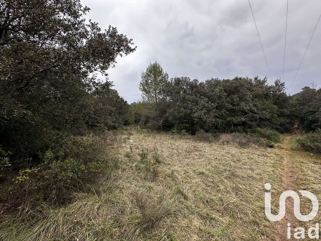 Photo 3 - Terrain à BERNIS