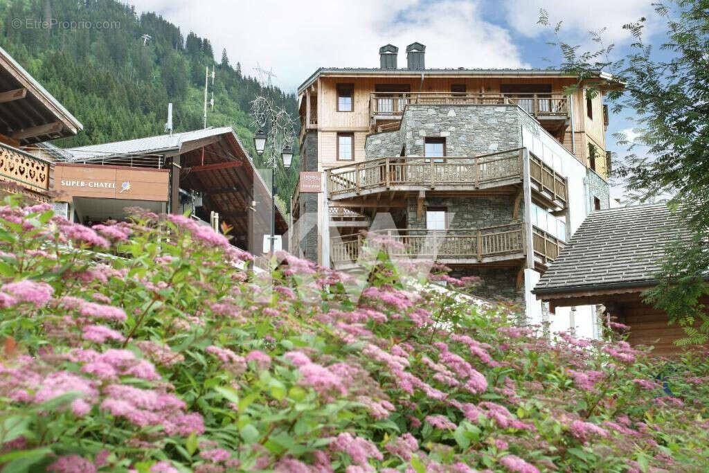 Appartement 32 m² à Chatel  - photo 2