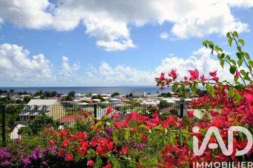 Photo 1 - Appartement à SAINT-FRANCOIS