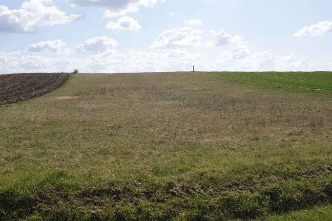 Terrain à TOURNECOUPE