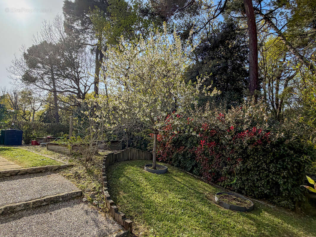 Maison à SAINT-PALAIS-SUR-MER