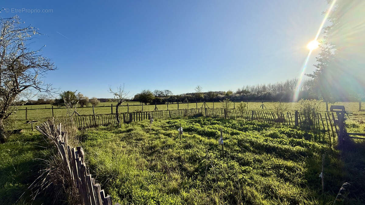 Maison à JOUE-LES-TOURS