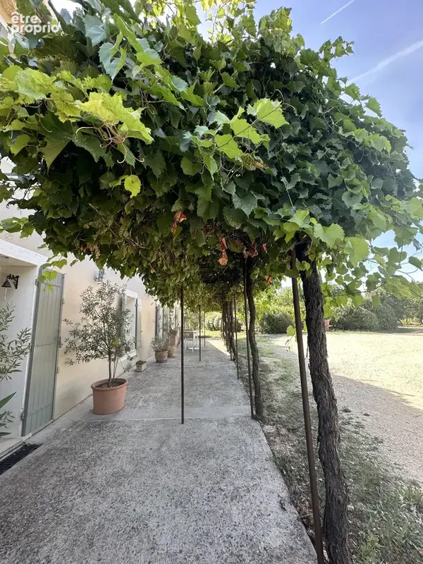 Mas au coeur du Luberon - photo 14