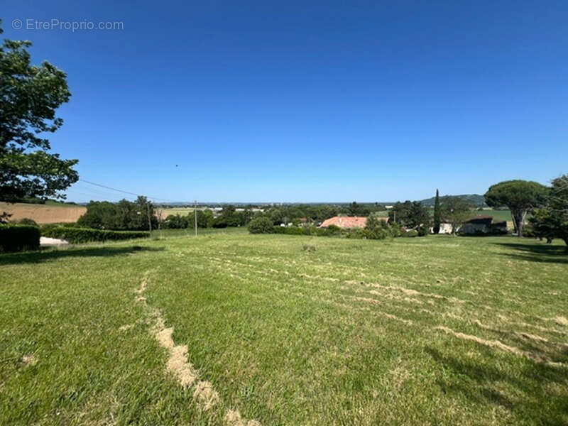 Terrain à LAGARRIGUE