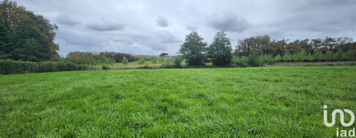 Photo 1 - Terrain à SERRES-GASTON