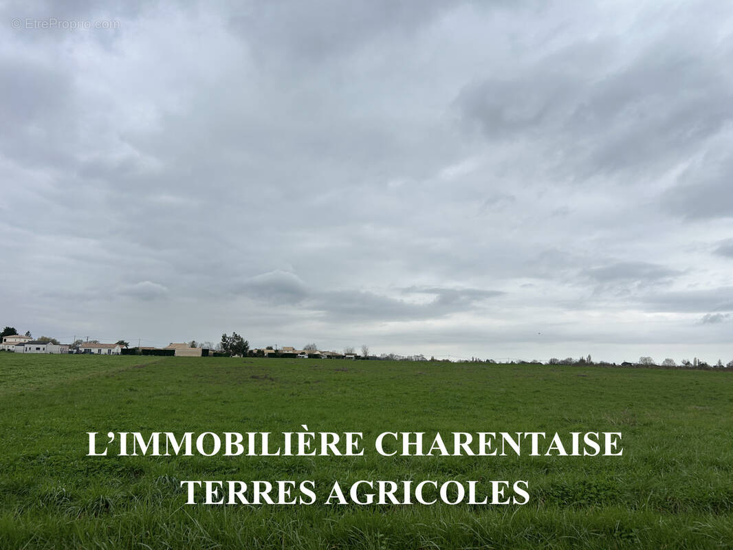 Terrain à CORME-ECLUSE