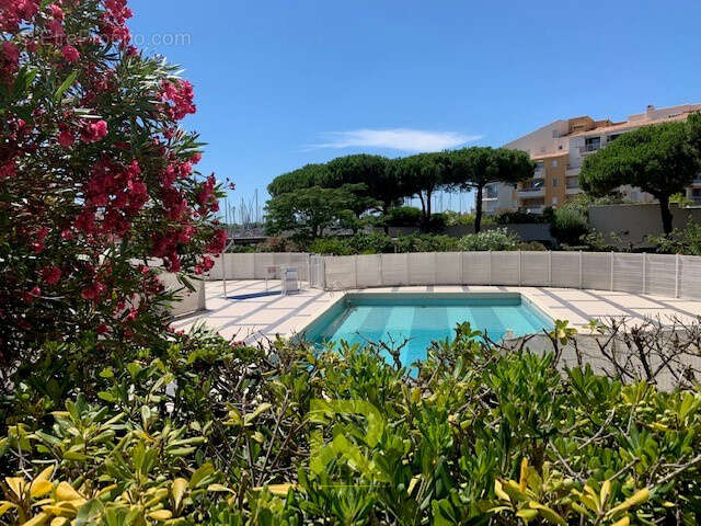 Studio le cap d'agde-piscine - photo 2