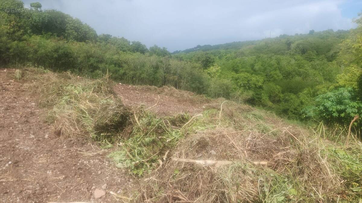 Terrain à SAINT-FRANCOIS