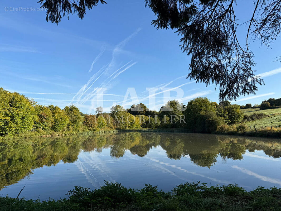 Terrain à MOULINS-LA-MARCHE