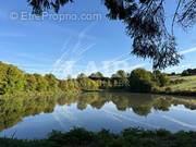 Terrain à MOULINS-LA-MARCHE