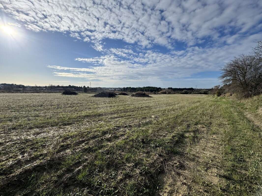 Loupian/terrain/vue/eau! - photo 3