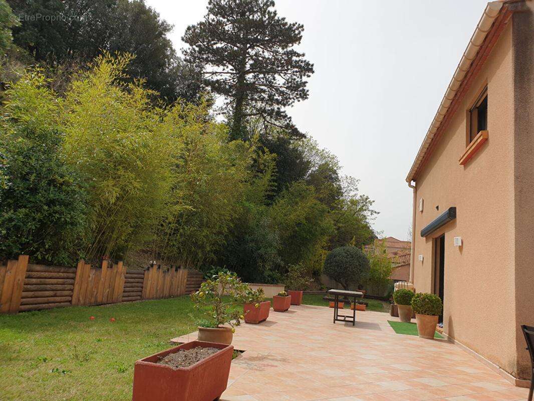 Un ensemble regroupant une maison d'architecte indépendante  avec grand garage, local professionnel et un locatif à Amélie les B - photo 13