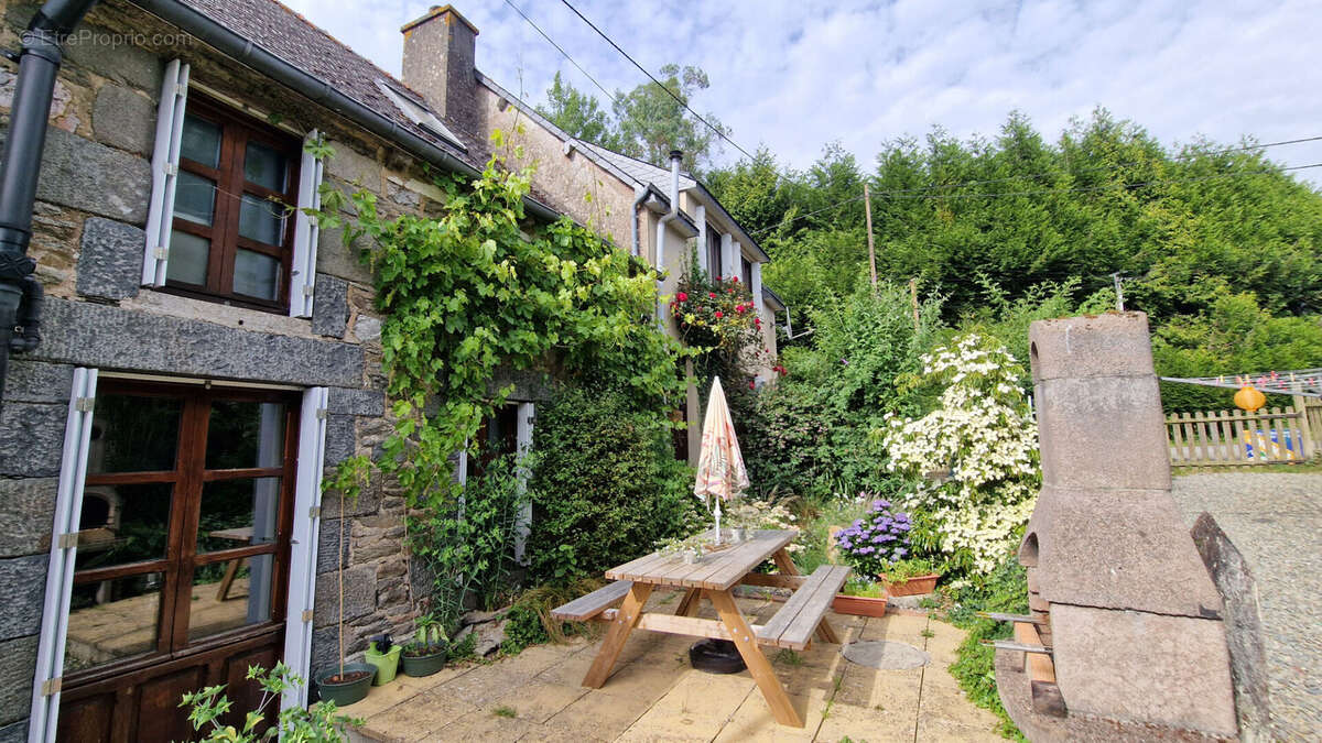 Maison à COLLINEE