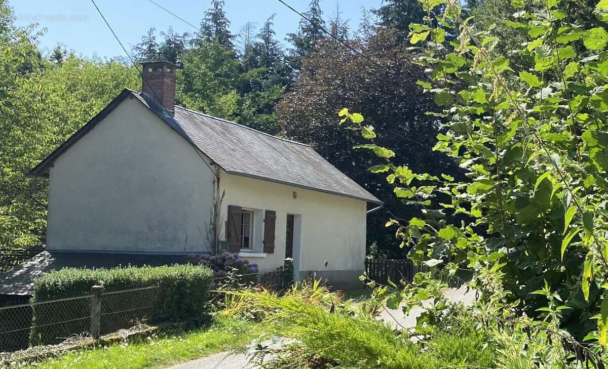 Maison 40 m² à Saint-Gilles-Les-Forets  - photo 4
