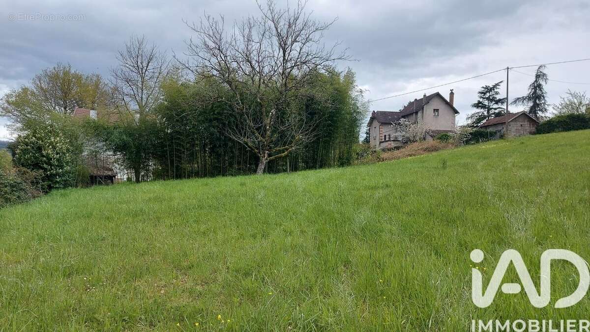 Photo 3 - Terrain à TERRASSON-LAVILLEDIEU