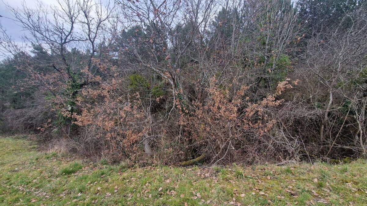 Terrain à ANTUGNAC