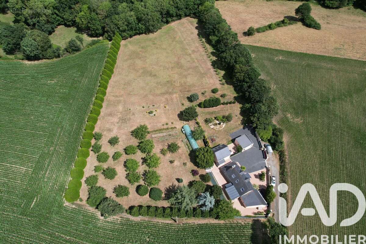 Photo 4 - Maison à PLANGUENOUAL