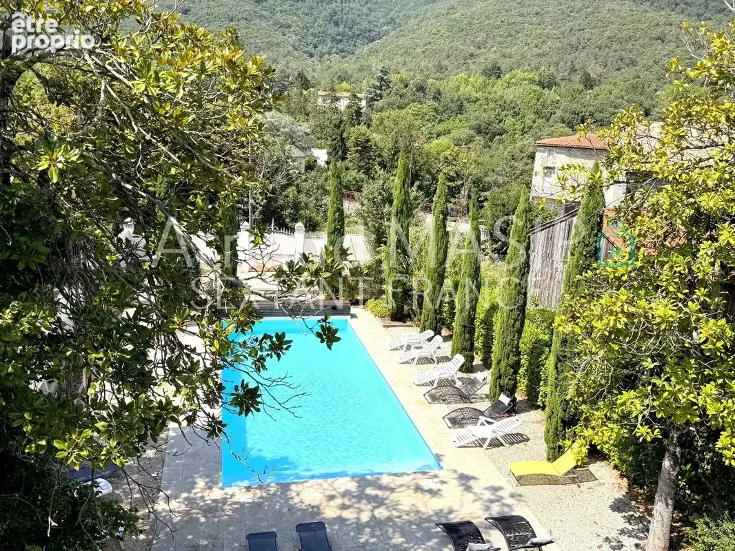 Sublime authentique chateau totalement renove au coeur du pays cathare, piscine, vue chateau - photo 2