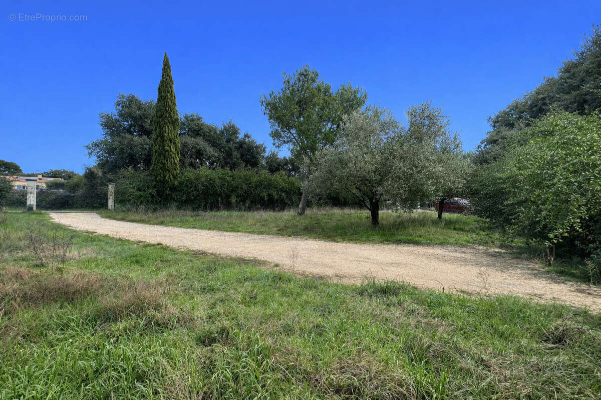 Terrain à SAINT-SIFFRET