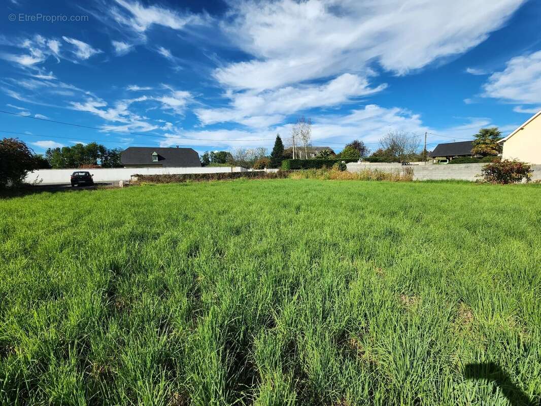 Terrain à MONTAUT