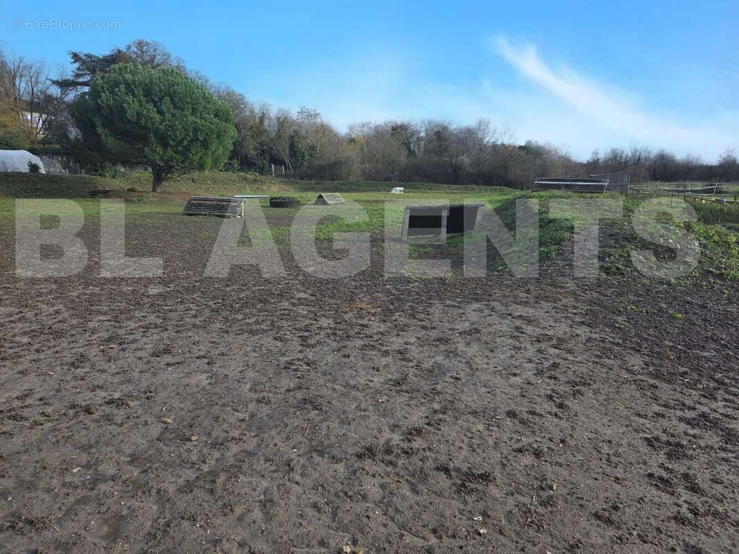 6 - Maison à VINNEUF