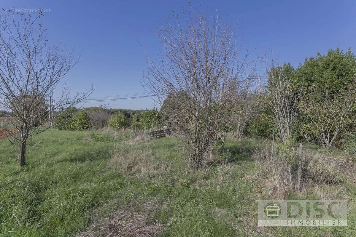 Maison à SAINT-ANTONIN-NOBLE-VAL