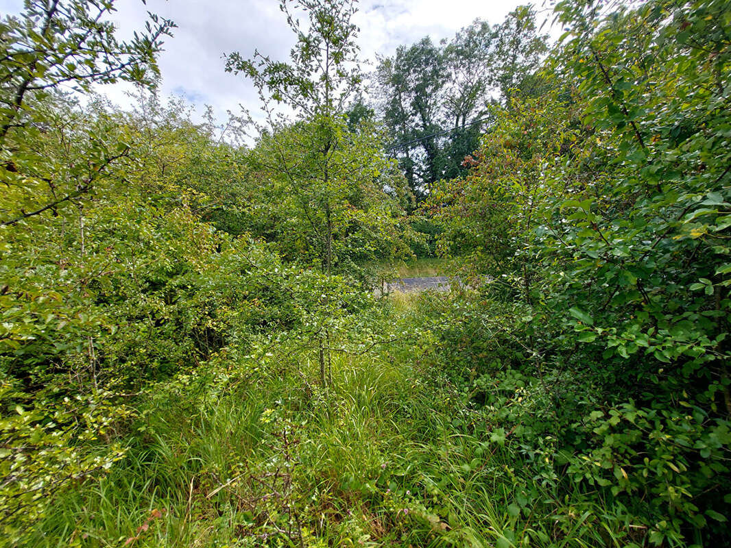 Terrain à VAUCOULEURS