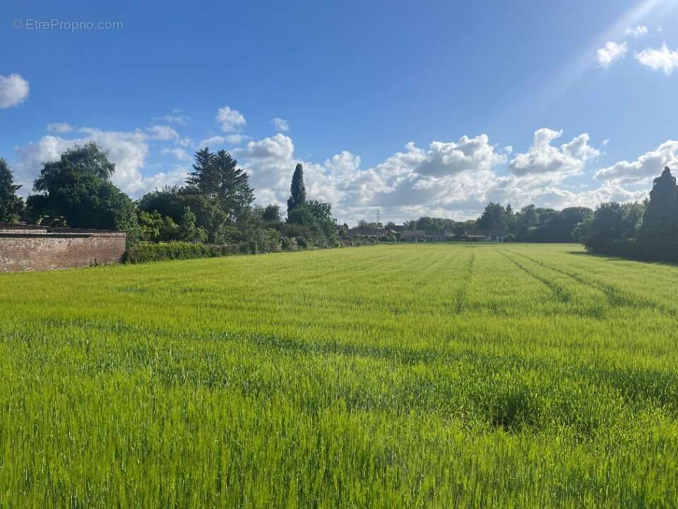 Terrain 1450 m² à Labourse  - photo 2