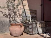 Photo 1 - Maison à CADENET