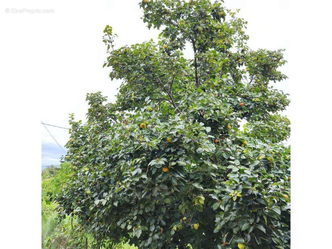 Maison à GIGNAC-LA-NERTHE