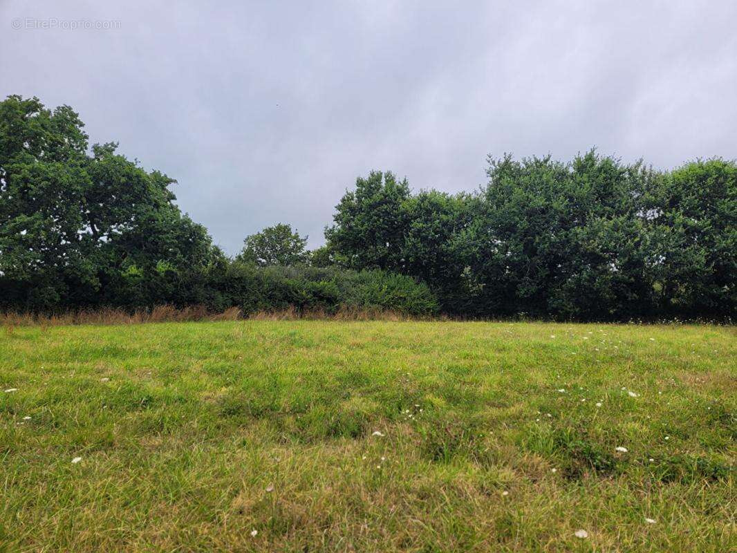 Terrain à FOUESNANT