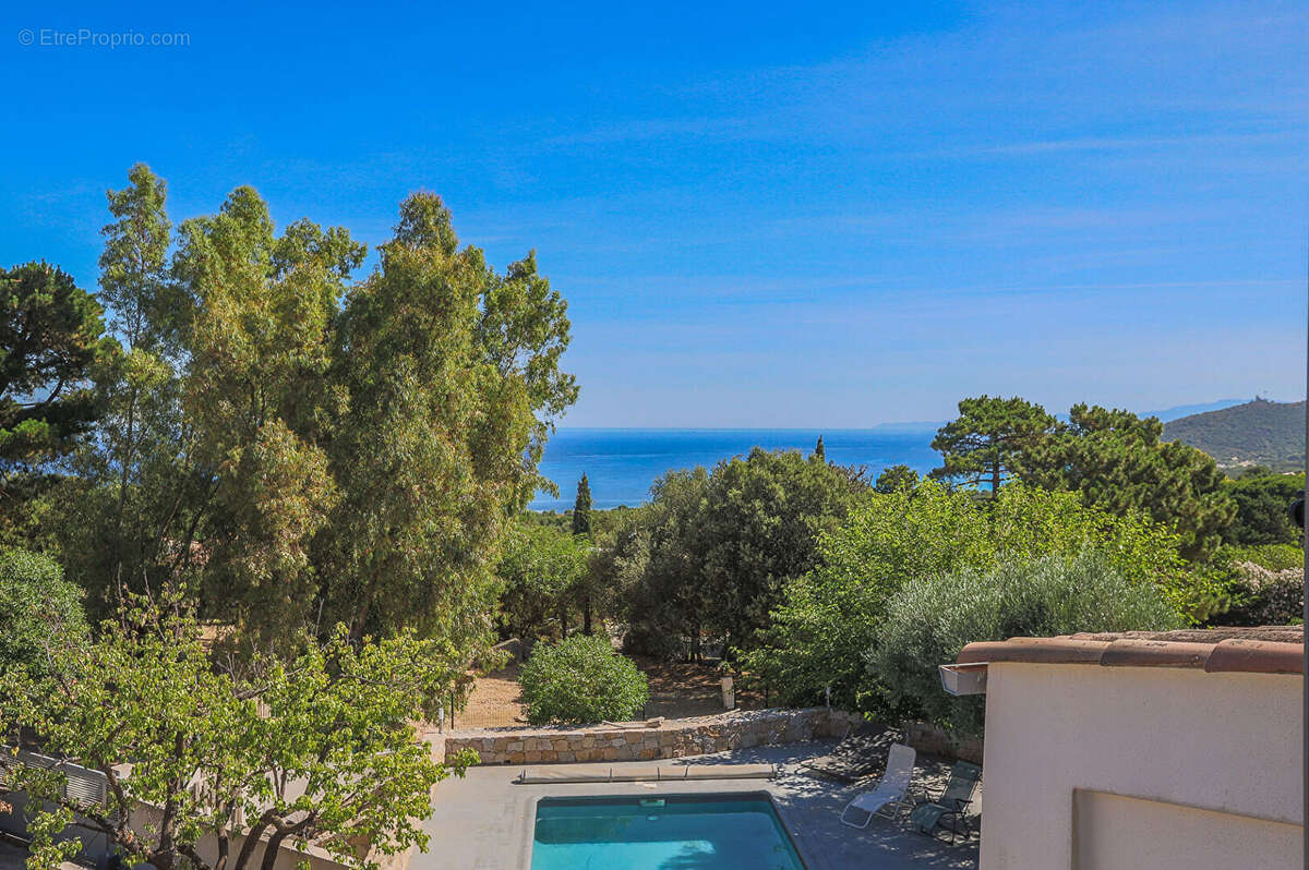 Marine de Davia Villa 7 pièce(s) 200 m2 avec vue mer et piscine - photo 15