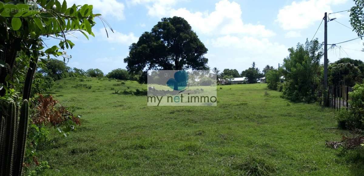 Terrain à LE VAUCLIN