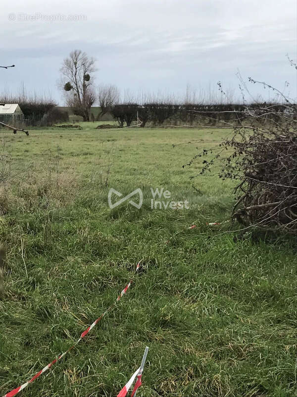 Terrain à BELLIGNIES