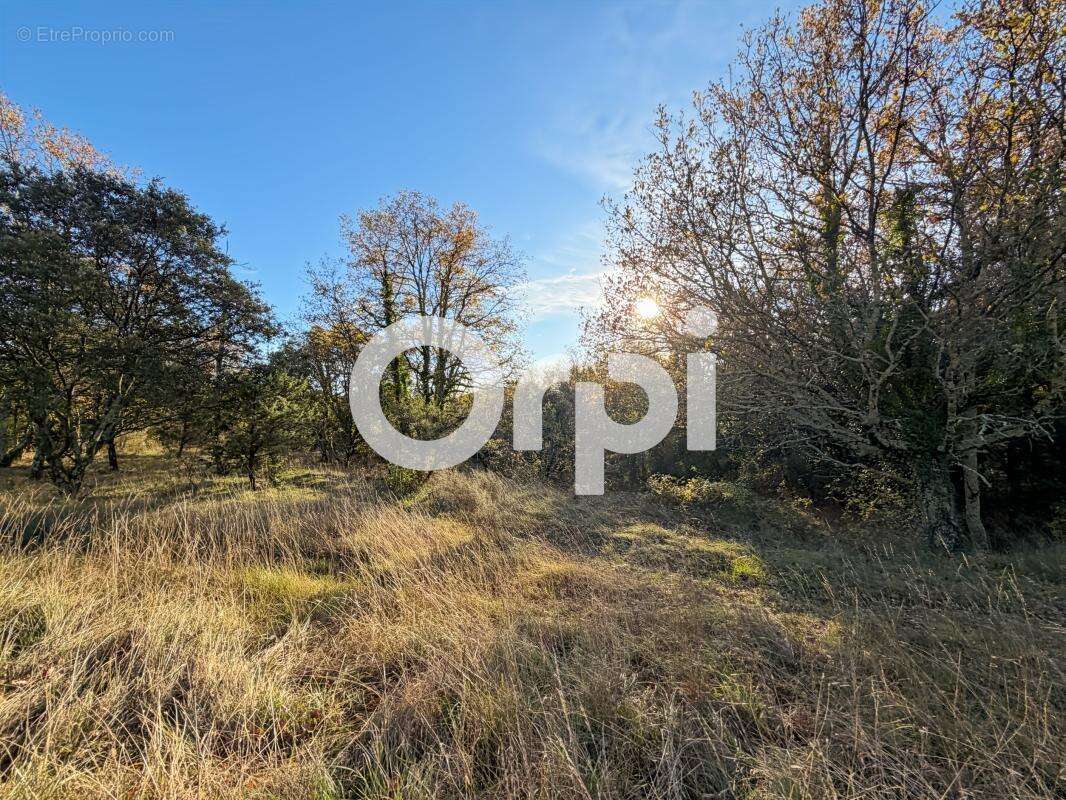 Terrain à VALLON-PONT-D'ARC