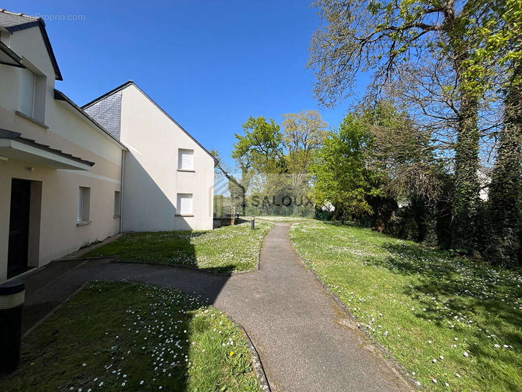 Appartement à AMBON