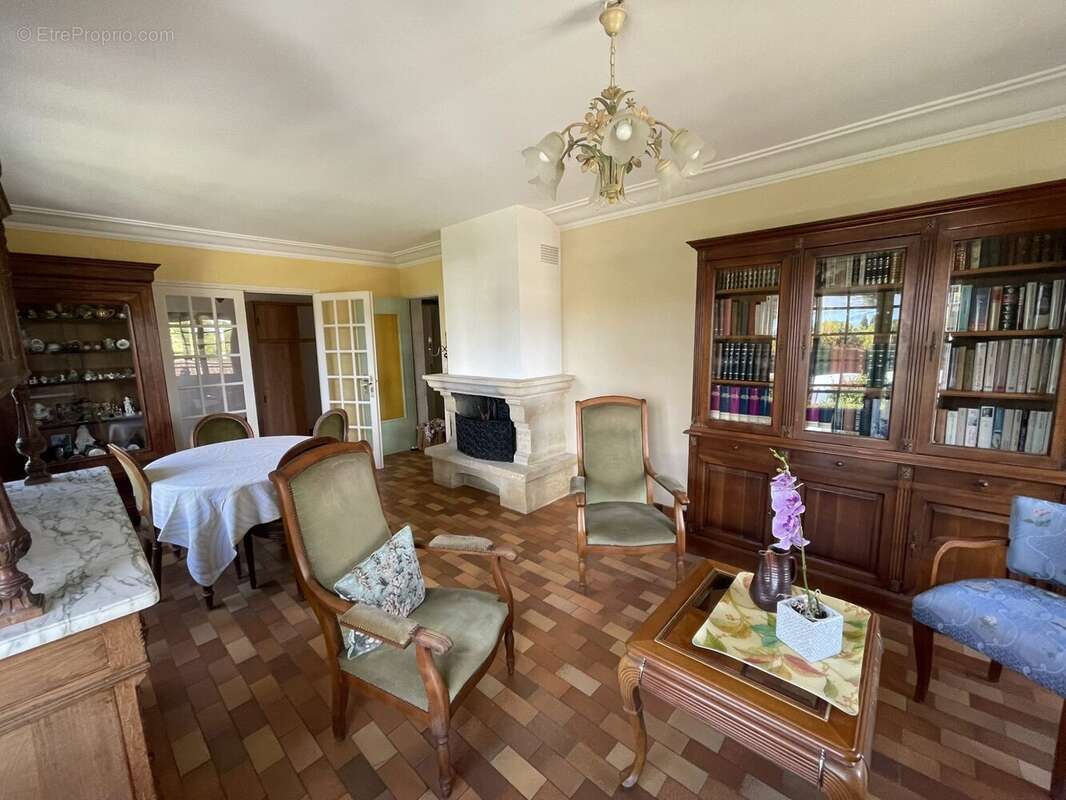 salon séjour avec cheminée - Maison à BOULAZAC